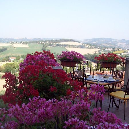 La Terrazza Fio...Rita Bed & Breakfast Ripa Dış mekan fotoğraf